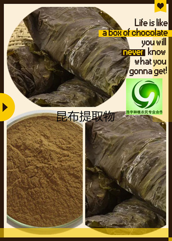 昆布提取物 昆布速溶粉厂子直供昆布提取物
