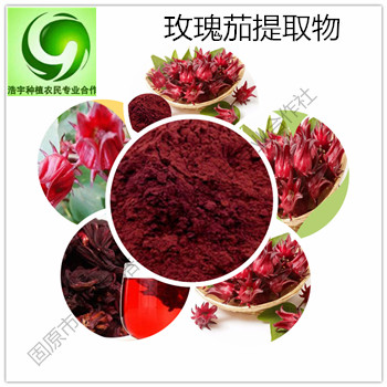 玫瑰茄速溶粉 玫瑰茄浸膏粉玫瑰茄提取物 玫瑰茄粉