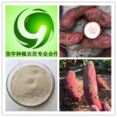 地瓜提取物厂家 土瓜根粉批发 豆薯粉豆浆原料  地瓜根粉
