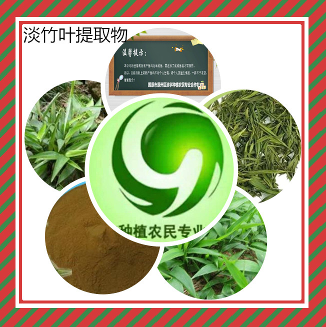 淡竹叶提取物10:1 工厂直供 竹叶黄酮 40%