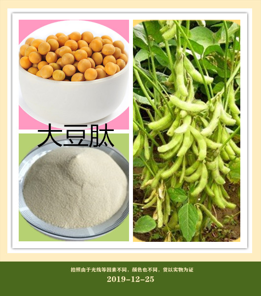大豆肽 大豆膳食纤维 大豆粉