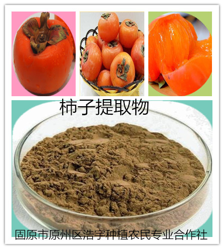柿子粉 柿子提取物
