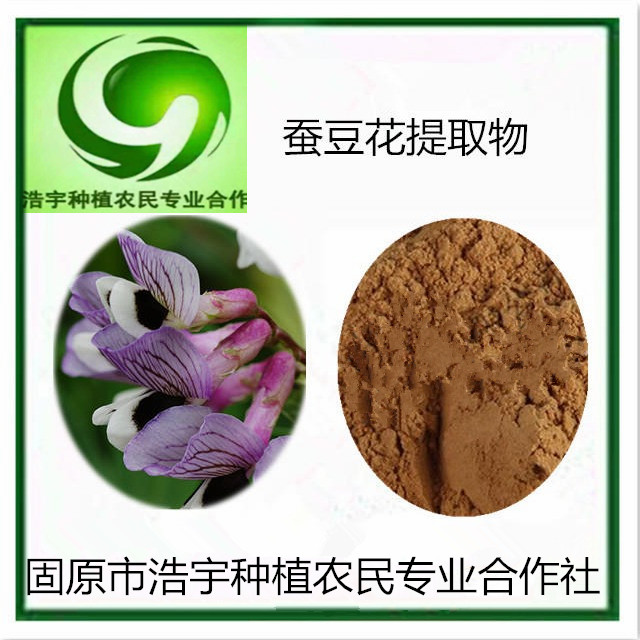 蚕豆花提取物16:1 罗汉豆花浓缩浸膏粉  蚕豆花浓缩液  蚕豆花浸膏粉