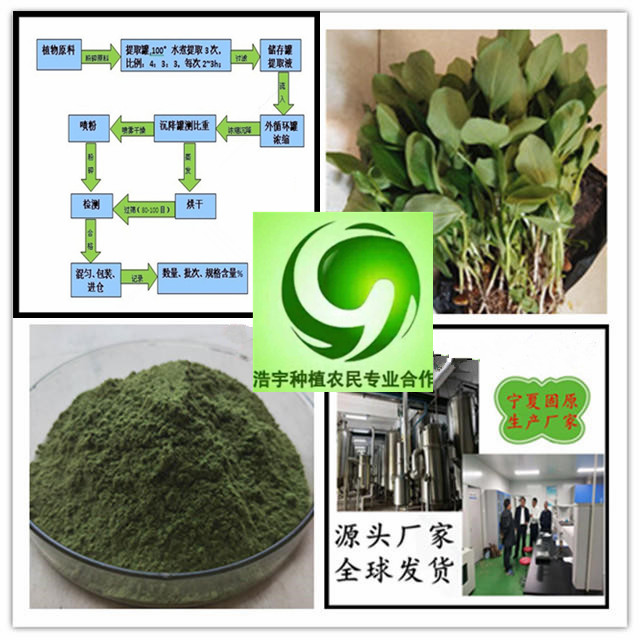 蚕豆花提取物16:1 罗汉豆花浓缩浸膏粉  蚕豆花浓缩液  蚕豆花浸膏粉