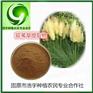 荻苇草提取物浓缩浸膏粉 全水溶地尾草粉150目 荻苇草浓