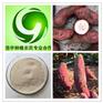 地瓜提取物厂家 土瓜根粉批发 豆薯粉豆浆原料