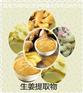 生姜提取物  厂家直供