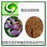 蚕豆花提取物16:1 罗汉豆花浓缩浸膏粉