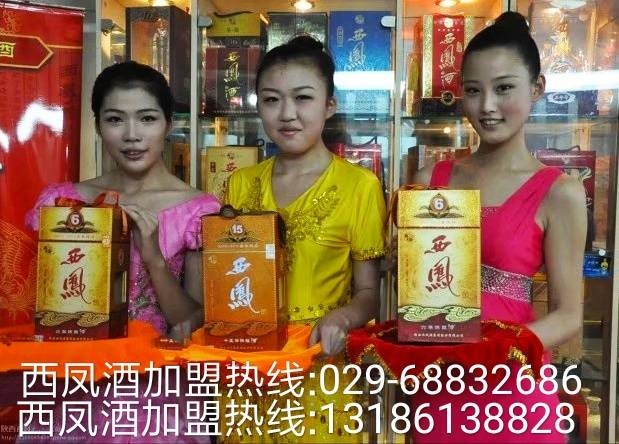 6年15年西凤酒288