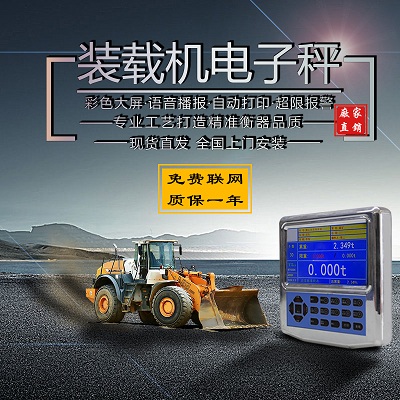 装载机电子秤  扬尘监测仪  雾森系统等