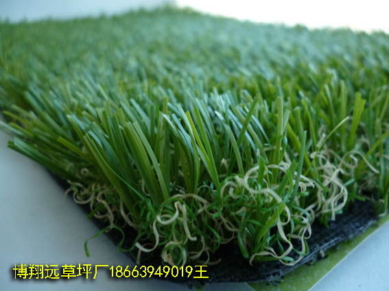 生产销售:人造草坪为什么掉草(铜仁)制造专业厂家