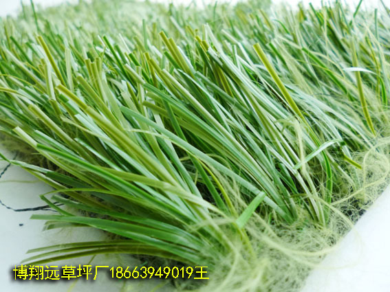厂家推荐:人造草坪石英砂层(宜昌)专用销售店