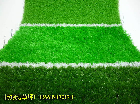 厂家生产:景区人工草生产厂家(丽江)价格优惠.