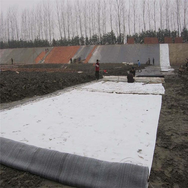 河源HDPE土工膜,防渗膜,土工布厂家即定即发  河源防渗膜  河源土工布