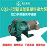 厂家直销扬子牌CQB型氟塑料磁力泵耐酸泵盐酸蹦硫酸泵
