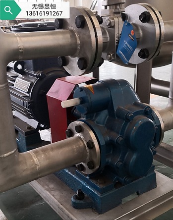 溧阳齿轮泵化工齿轮泵高粘度齿轮泵专业厂家供应  溧阳化工齿轮泵  溧阳高粘度齿轮泵