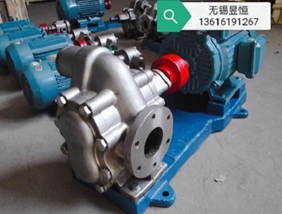 溧阳齿轮泵化工齿轮泵高粘度齿轮泵专业厂家供应  溧阳化工齿轮泵  溧阳高粘度齿轮泵