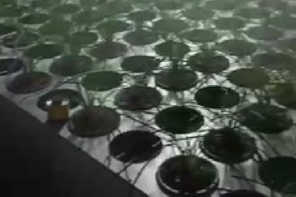 梅县雾化加湿器生产商