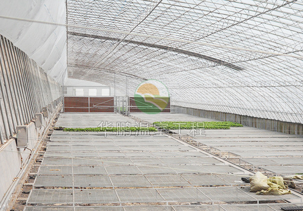 北方蔬菜大棚建设  山东北方蔬菜大棚建设