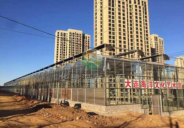 玻璃阳光板温室  山东玻璃阳光板温室