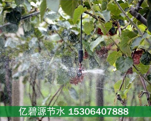 铜仁猕猴桃微喷灌溉施肥装置价格  铜仁灌溉施肥装置