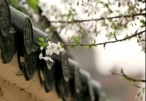 学古琴好的开始最重要 古琴批发 古琴零售 复雅古琴社