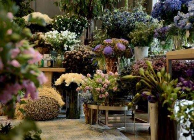 告白花艺让美展现在你的生活里 谁人不爱它  告白盆景  告白苗木