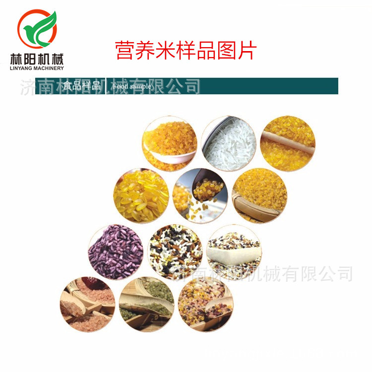 济南林阳-杂粮营养米生产机械设备  营养米生产设备  营养米生产线