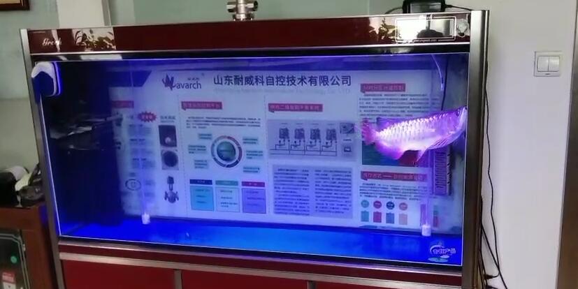济南高新区舜泰广场鱼缸清洗  清洗鱼缸  鱼缸养护