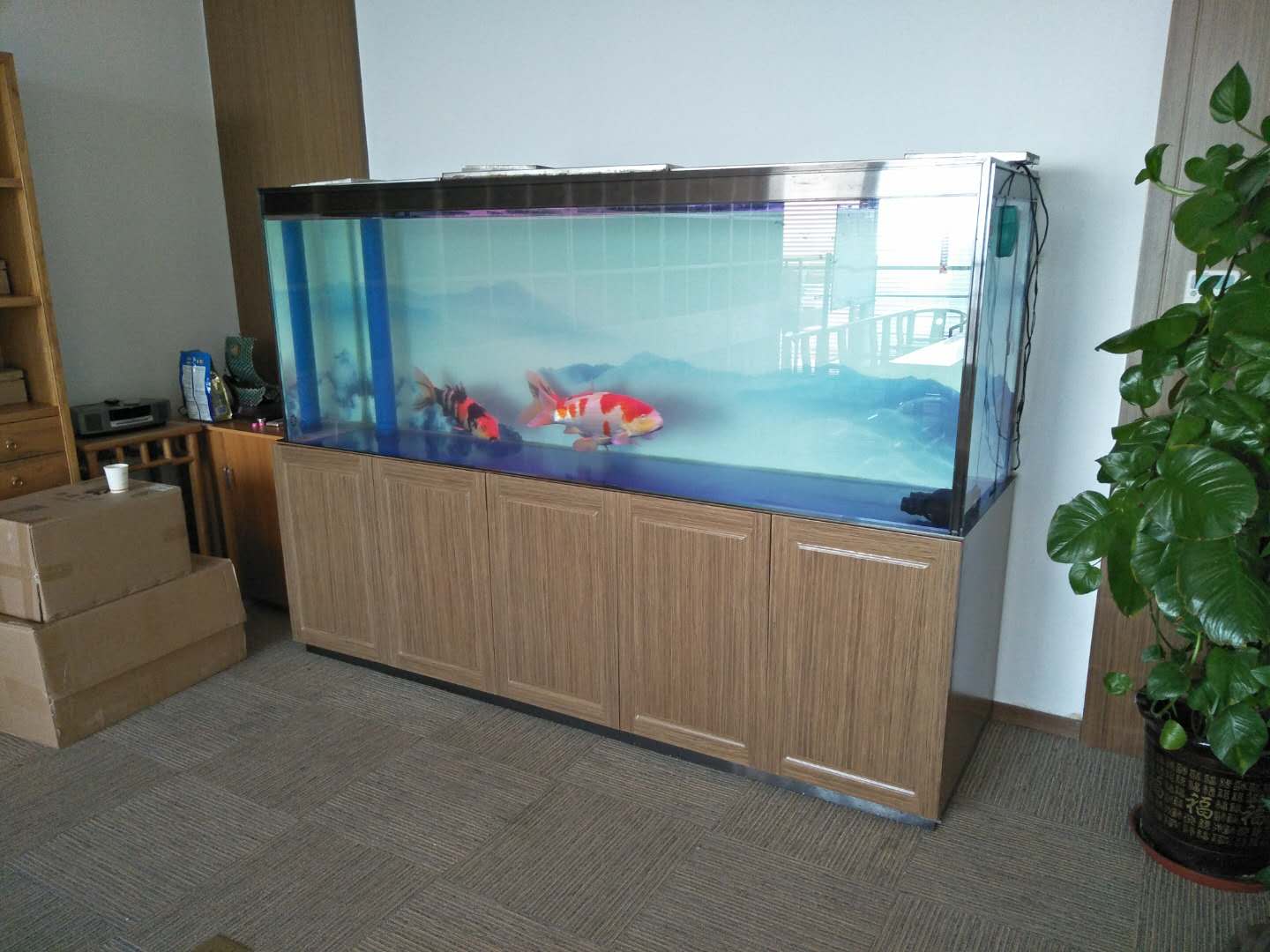 济南高新区汉峪金谷鱼缸消毒  鱼缸清洗