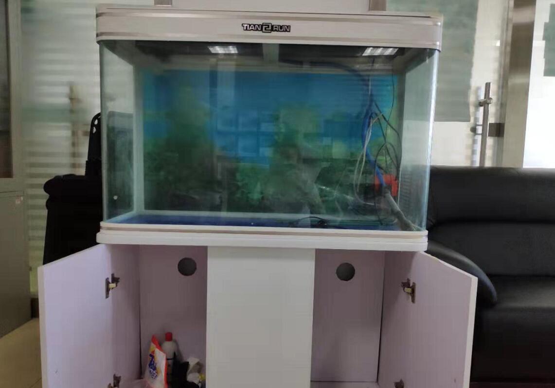 济南高新区齐鲁软件园鱼缸维修  维修鱼缸