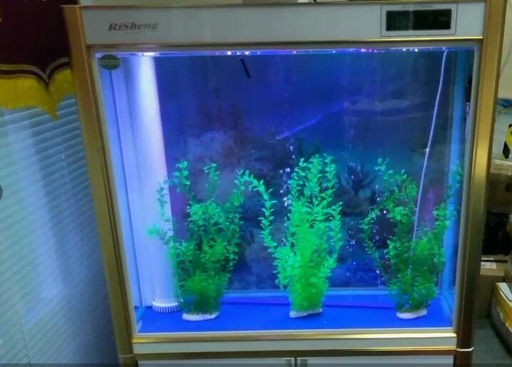 济南高新区齐鲁软件园鱼缸清洗托管  鱼缸托管