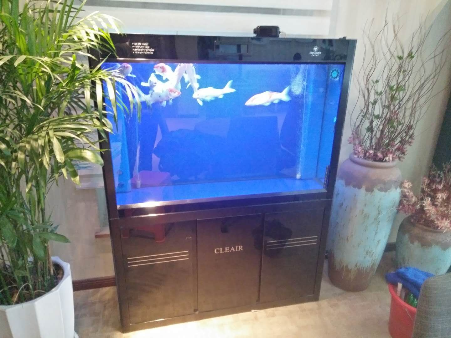 济南高新区丁豪广场鱼缸清洗托管  鱼缸托管