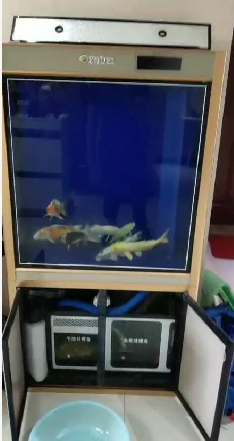 济南高新区齐鲁软件园鱼缸维修  维修鱼缸  鱼缸安装