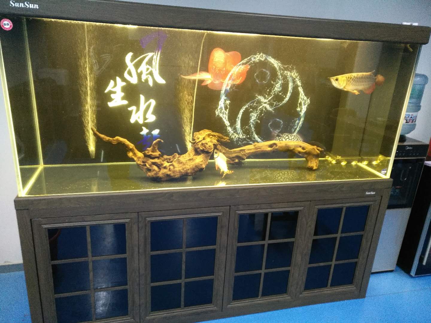济南高新区奥体中心清洗鱼缸  鱼缸清洗