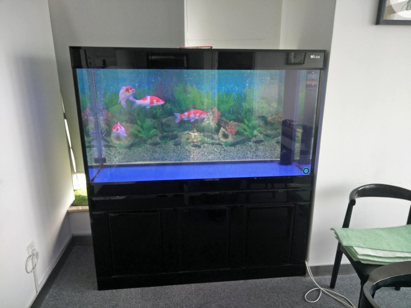 济南高新区丁豪广场清洗鱼缸  鱼缸清洗