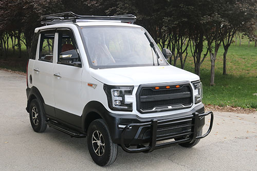 电动汽车 电动四轮车 成人铁壳电瓶车  老年代步车  新能源电动车