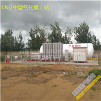 LNG气化器汽化器气化撬汽化撬氣化撬