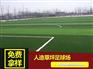 河北保定室内健身馆悬浮拼装地板施工案例