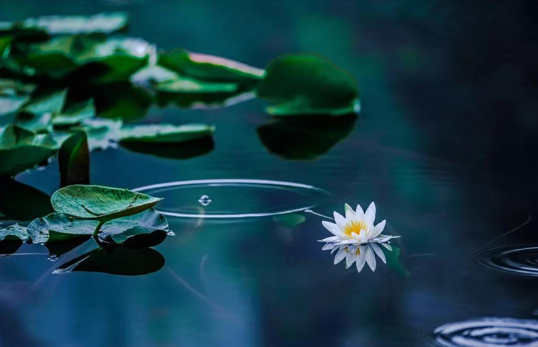 练习古琴进步的10种有效方法  古琴批发  古琴零售  复雅古琴社