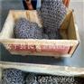 方形网 不锈钢绳网厂家销售 不锈钢绳网图片
