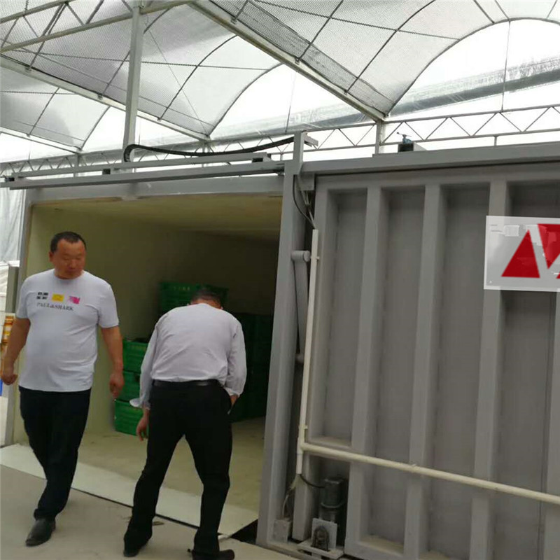 茭白保鲜真空预冷机批量处理方法详解  果蔬真空预冷机  茭白保鲜方法
