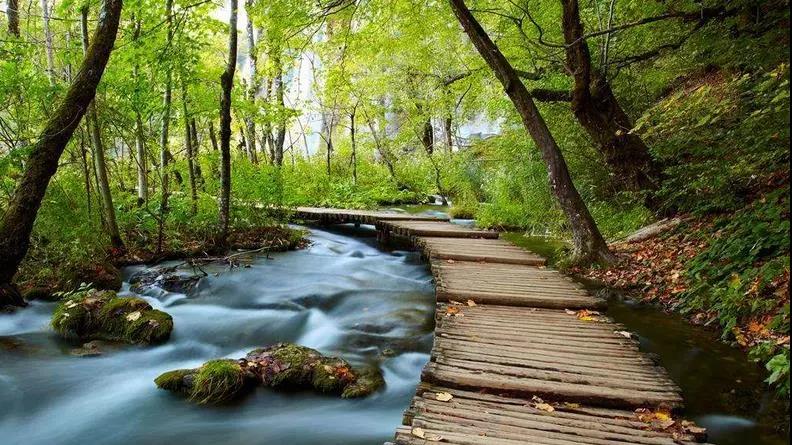 在合肥古琴学习入门应注意的问题  古琴批发  古琴零售  复雅古琴社