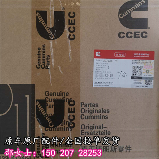 厦门发电机组K38喷油器3076703油嘴零件包