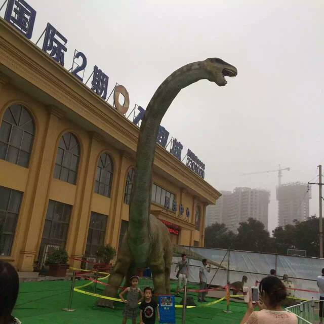 恐龙艺术展览设备出租?恐龙展出租设备出租?恐龙展出租