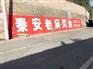 陕西渭南东风风光汽车墙体广告信任奋斗是成功的底色