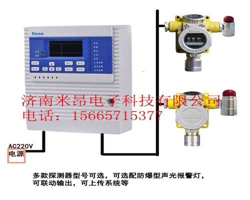 2020年气体报警器 氟利昂气体报警器设备