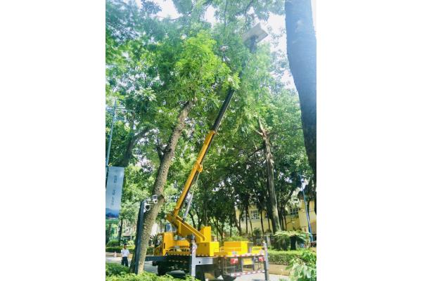 惠州高空车出租 电话报价 租金低  高空作业车  云梯车  路灯车
