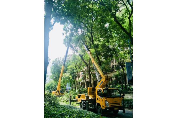 惠州高空车出租 电话报价 租金低  高空作业车  云梯车  路灯车
