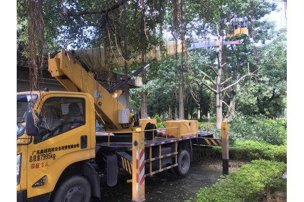 惠州高空车出租 电话报价 租金低  高空作业车  云梯车  路灯车